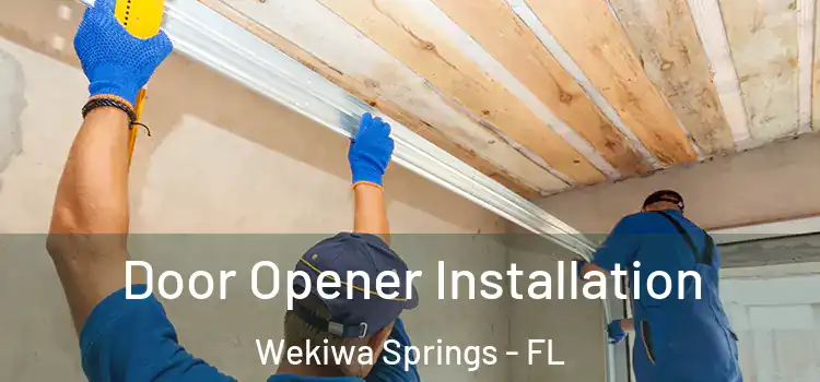 Door Opener Installation Wekiwa Springs - FL