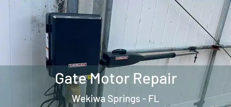 Gate Motor Repair Wekiwa Springs - FL