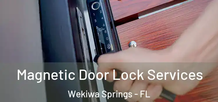 Magnetic Door Lock Services Wekiwa Springs - FL