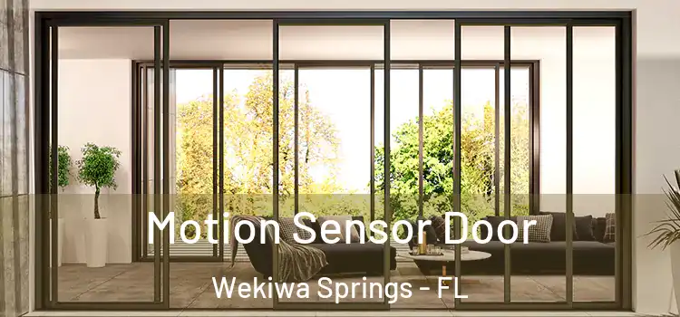 Motion Sensor Door Wekiwa Springs - FL