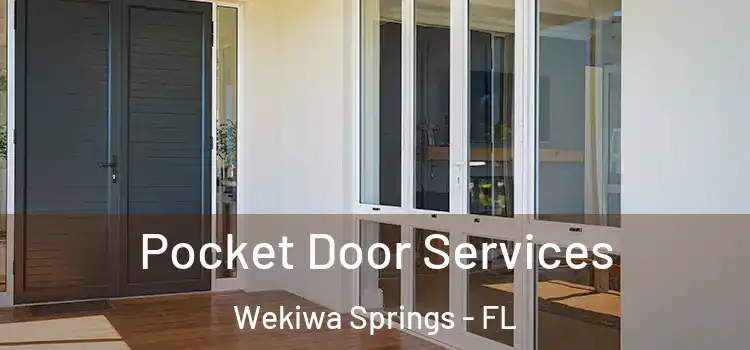  Pocket Door Services Wekiwa Springs - FL