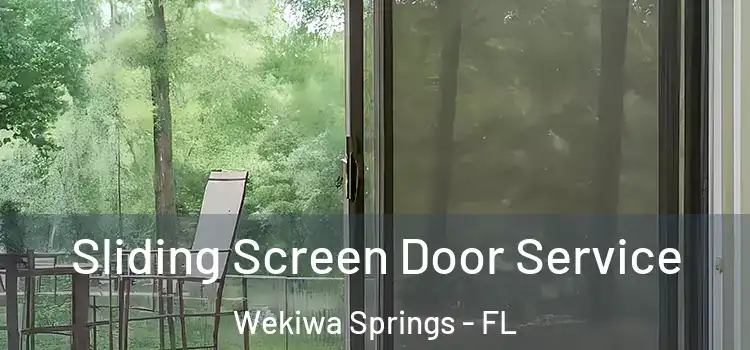 Sliding Screen Door Service Wekiwa Springs - FL